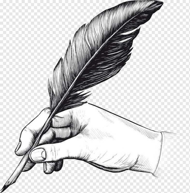 png transparent quill fountain pen drawing writing feather animals hand bird