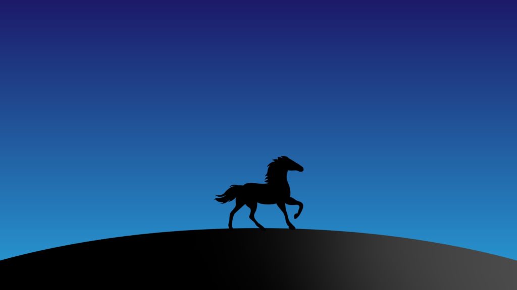 pc wallpaper horse silhouette 4K exif remove