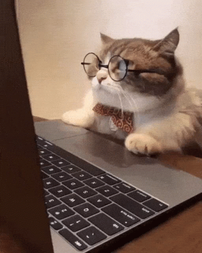 content writer cat